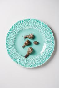 地球上每60秒发生的那些事