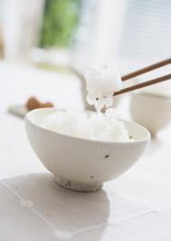 你了解黄瓜鱼吗