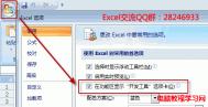 Excel 2007开发工具选项卡显示设置图解教程