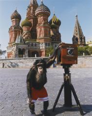 如何把照片卖到10万美刀？