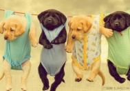 雾霾天怎么晒衣服