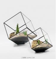 多肉植物真的伤害心脏吗