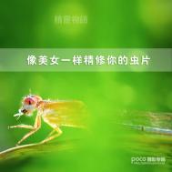 PS像美女一样精修你的虫片