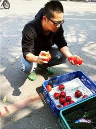 蔬果瓜菜布光有讲究