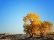 品位在摄影里体会到的人生