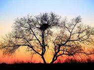 如何拍下最心动的照片？