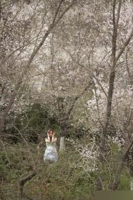 如何在杂乱的场景中显得乱中有序