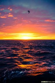 到两极拍摄风景需要哪些装备