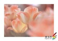 如何晒幸福礼物