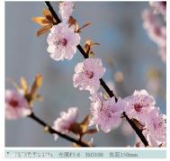 简洁的构图的摄影效果