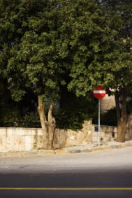 6个设计元素打造引人注目的摄影作品