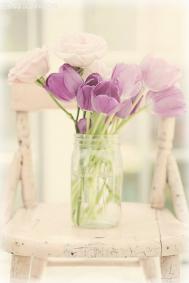 秋季蚊子毒花露水使用切忌过量！