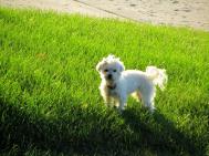 摄影用光：运用不同位置的光线令影像的光照效果尽善尽美