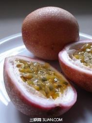 如何挑选西番莲