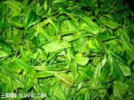 怎样贮存新茶