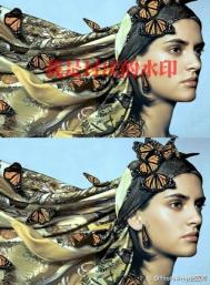 巧用光学应用原理结合photoshop去水印的技巧