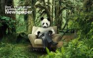 PS合成超经典的读报熊猫人场景