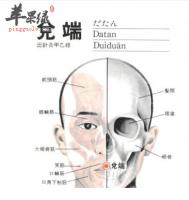 兑端穴位位置图