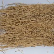 中药徐长卿图片