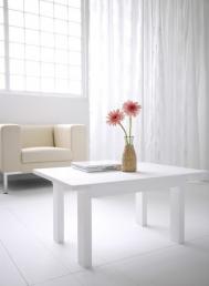 生栗子怎么煮啊？