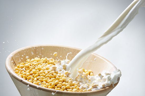 【图】全脂牛奶和脱脂牛奶的区别|全脂牛奶和