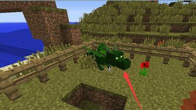 末影龙蛋怎么孵化