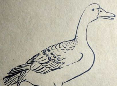安静的大雁彩绘画图解教程 大雁彩绘画的画法