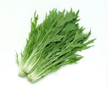 能吃的野菜有哪些 野菜都有什么