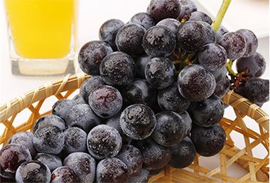 孕妇春节能不能吃黑提