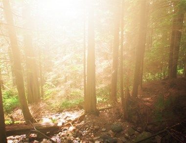 PS添加晨光的方法