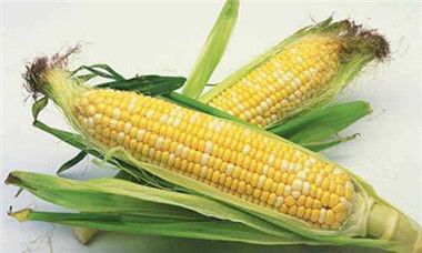 玉米有哪些营养价值