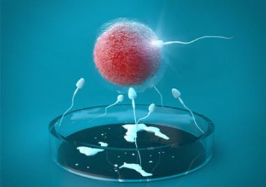 人工和试管有哪些区别？试管婴儿的优点与缺点