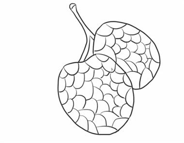 荔枝简笔画怎么画