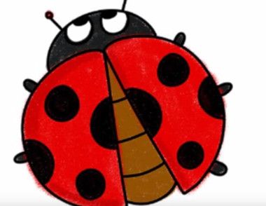 瓢虫简笔画教程 瓢虫怎么画