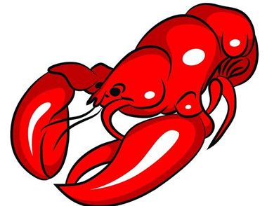 大龙虾简笔画教程 怎样画大龙虾简笔画