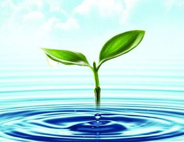 节约用水手抄报推荐 节约用水怎么做