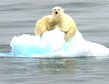 温室效应主要气体是什么 温室效应的危害