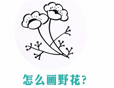 怎么画野花 桃花简笔画步骤