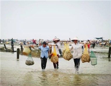 违法占海养殖场被清 违法占地认定标准是什么