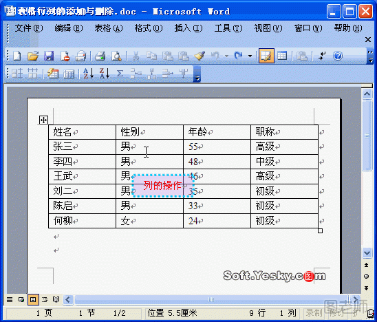 Word2003表格中如何添加和删除行和列