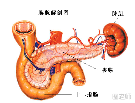 胰腺炎