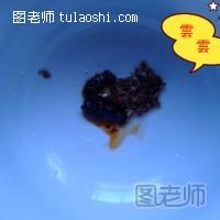 【图】牛肉榨做法丝煲的激素|羊肉榨菜汤丝煲吃菜汤牛肉图片