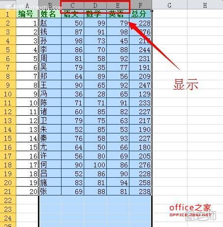 Excel基础应用：如何隐藏/显示行列单元格