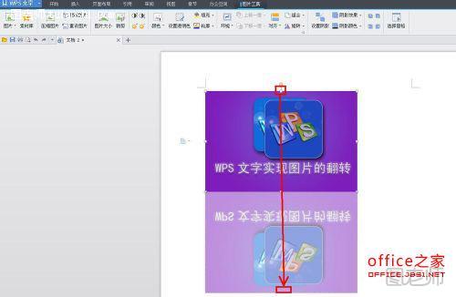 WPS技巧：WPS文字实现图片的翻转