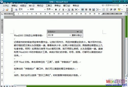 Word2003文档怎么样看字数