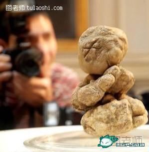 超级富豪才吃得起的食物：巨大的意大利松露-＄21,6000