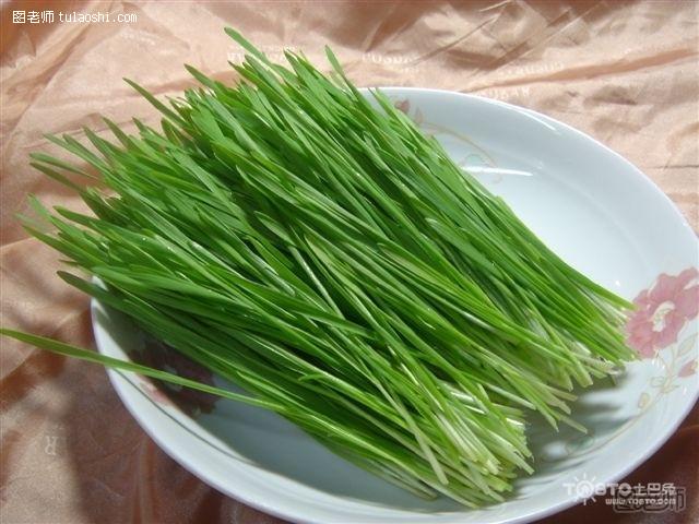 小麦草