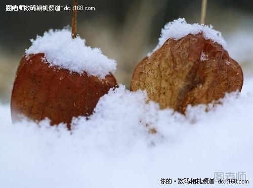 低温天气数码相机使用经验分享