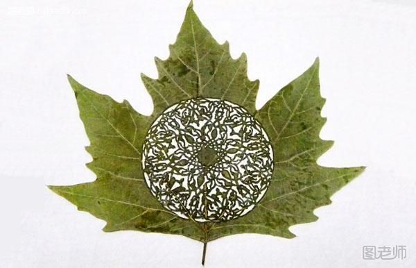 Cut-Away Leaf Art 树叶镂空艺术