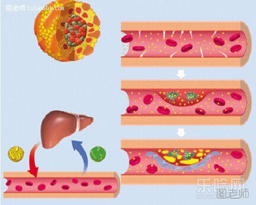降低胆固醇浓度